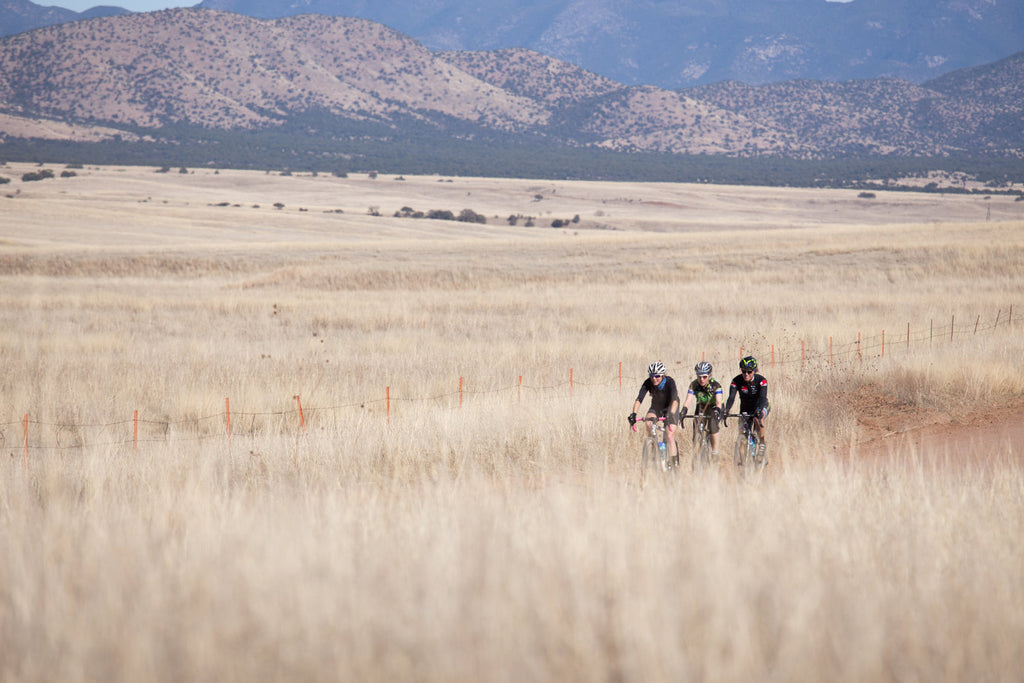 Three Cyclist's Menu members ride their bikes through a field.