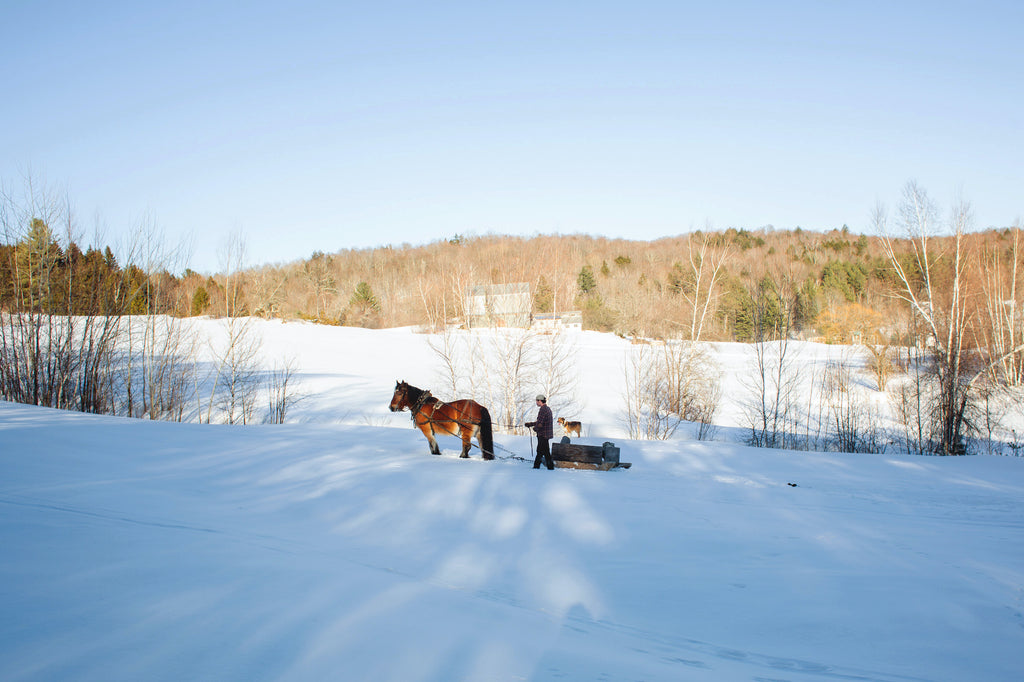 Andrew and his draft horse pull sugaring materials across a snowy field.